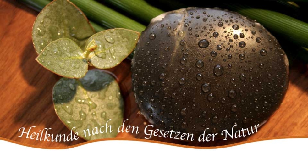 Naturheilpraxis Elisabeth Meerkötter