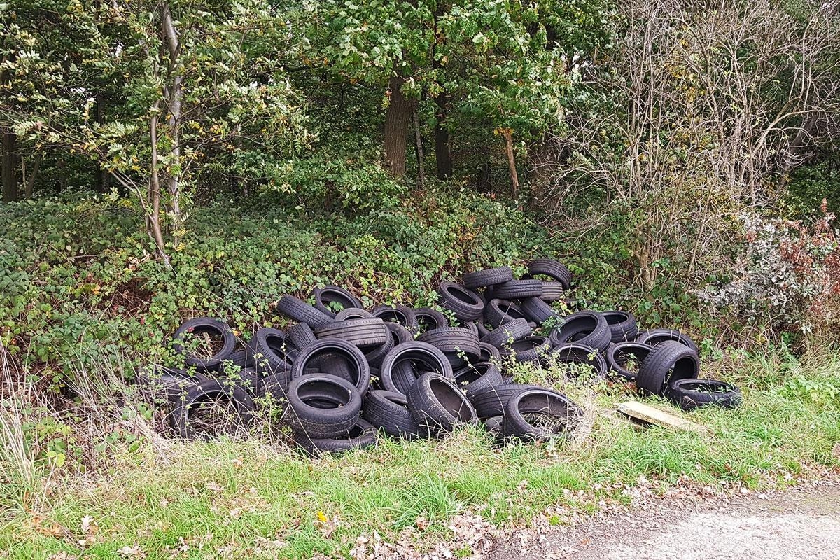 Bild zum Beitrag 'Illegale Altreifenentsorgung' Beitragsbild