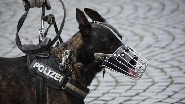 Polizeihund beißt Radfahrer
