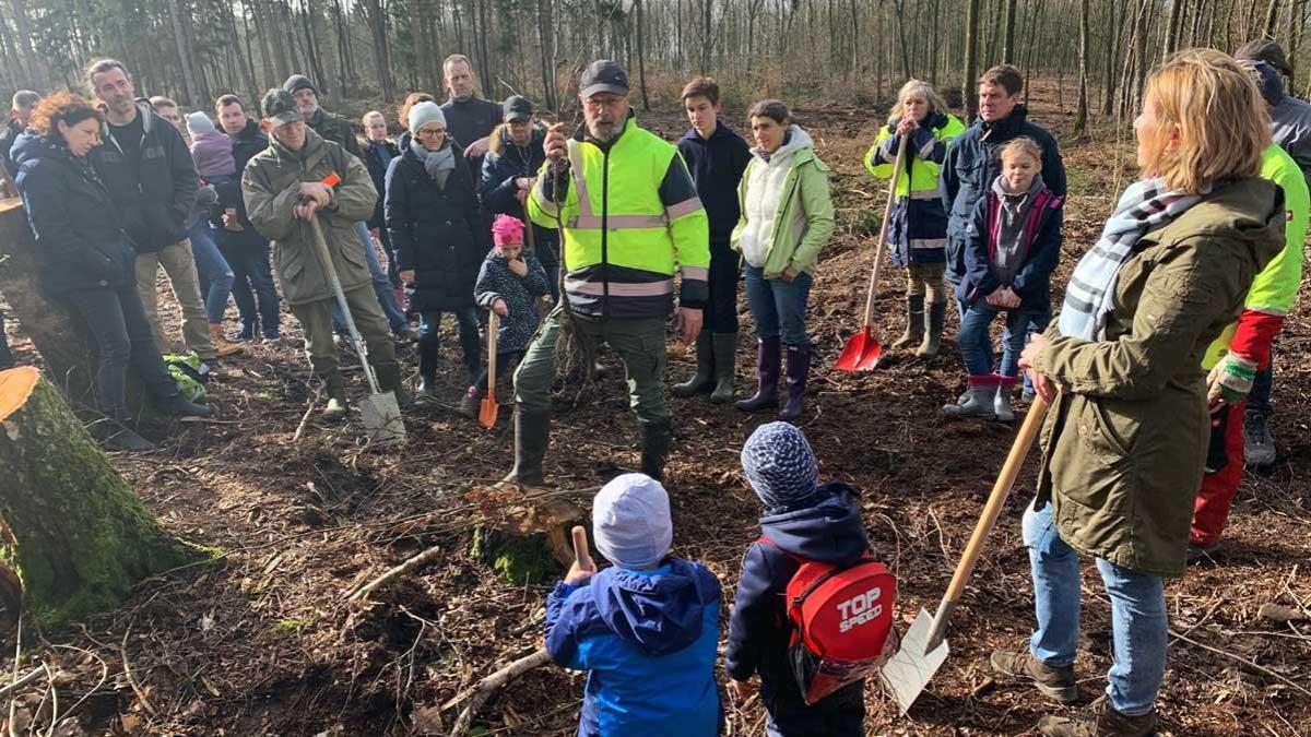 Bild zum Beitrag 'Süchtelner Höhen: Bürgerinnen und Bürger setzen 1000 neue Bäume' Beitragsbild