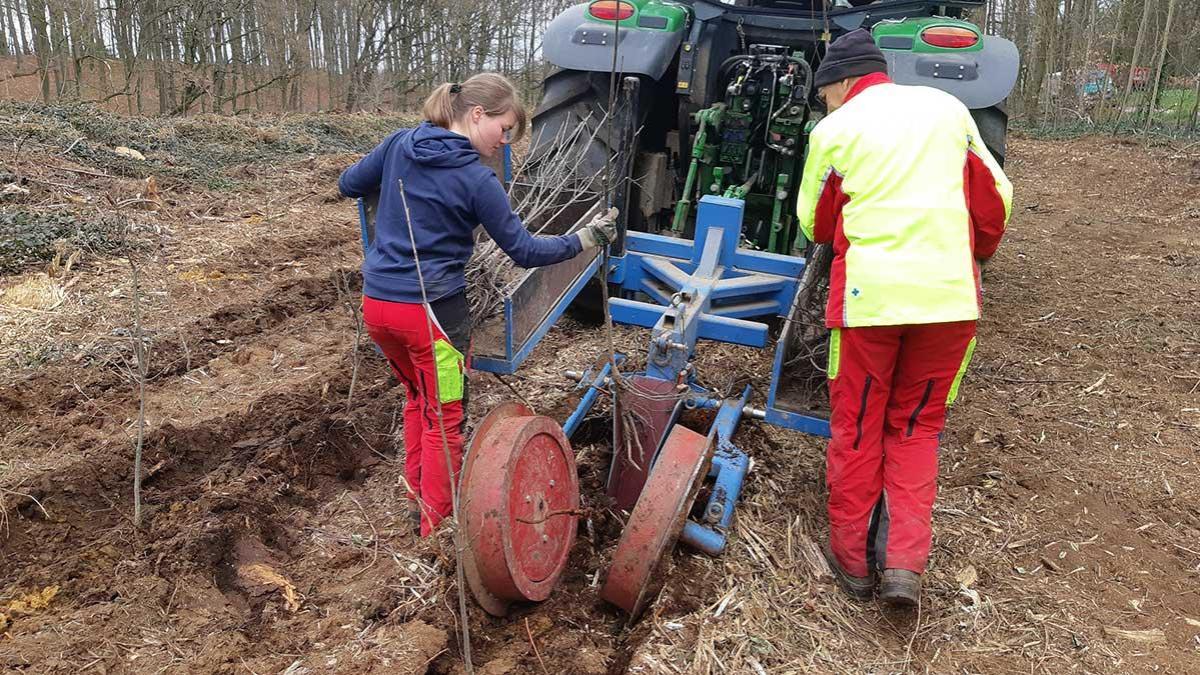 20.000 neue Bäume für Viersens Wald - Foto © Stadt Viersen