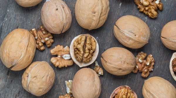 Walnüsse machen Männer glücklich