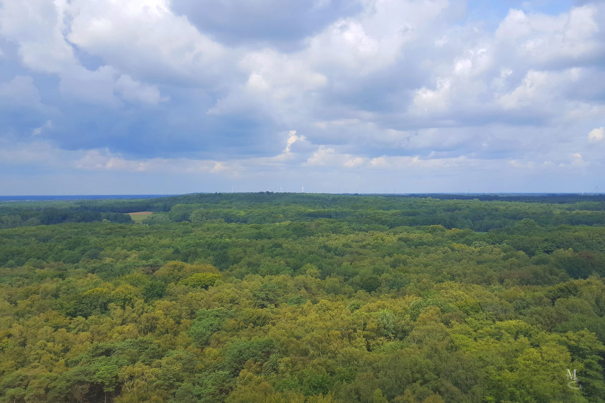 Bild zu Aussichtsturm Taubenberg