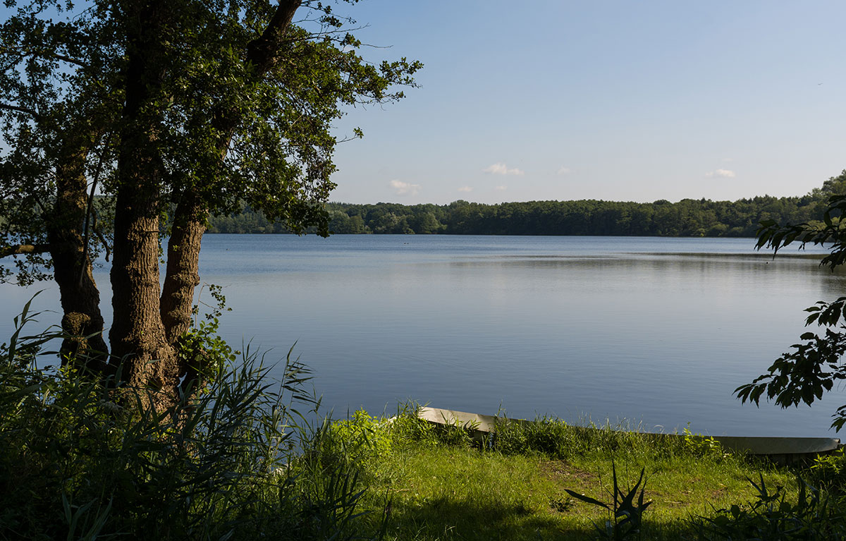 Bild zu Krickenbecker Seen