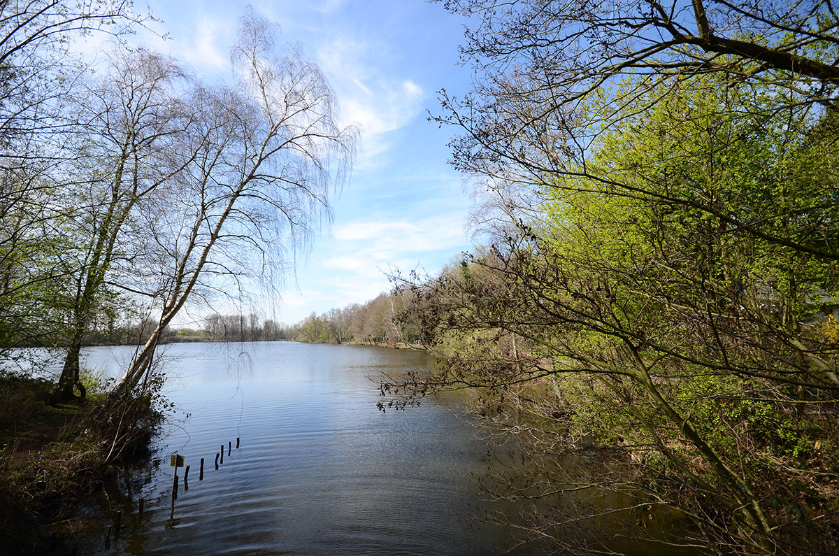 Bild zu Borner See